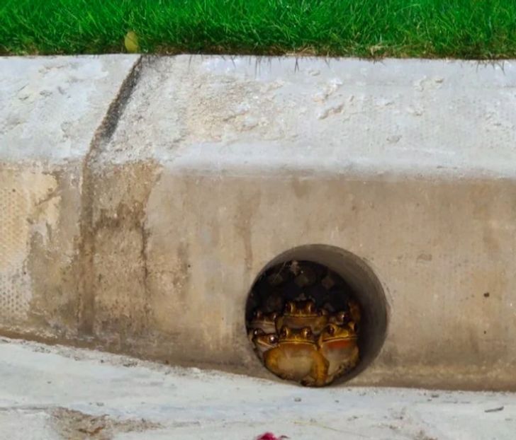 74df755f088747faaf638e02ab