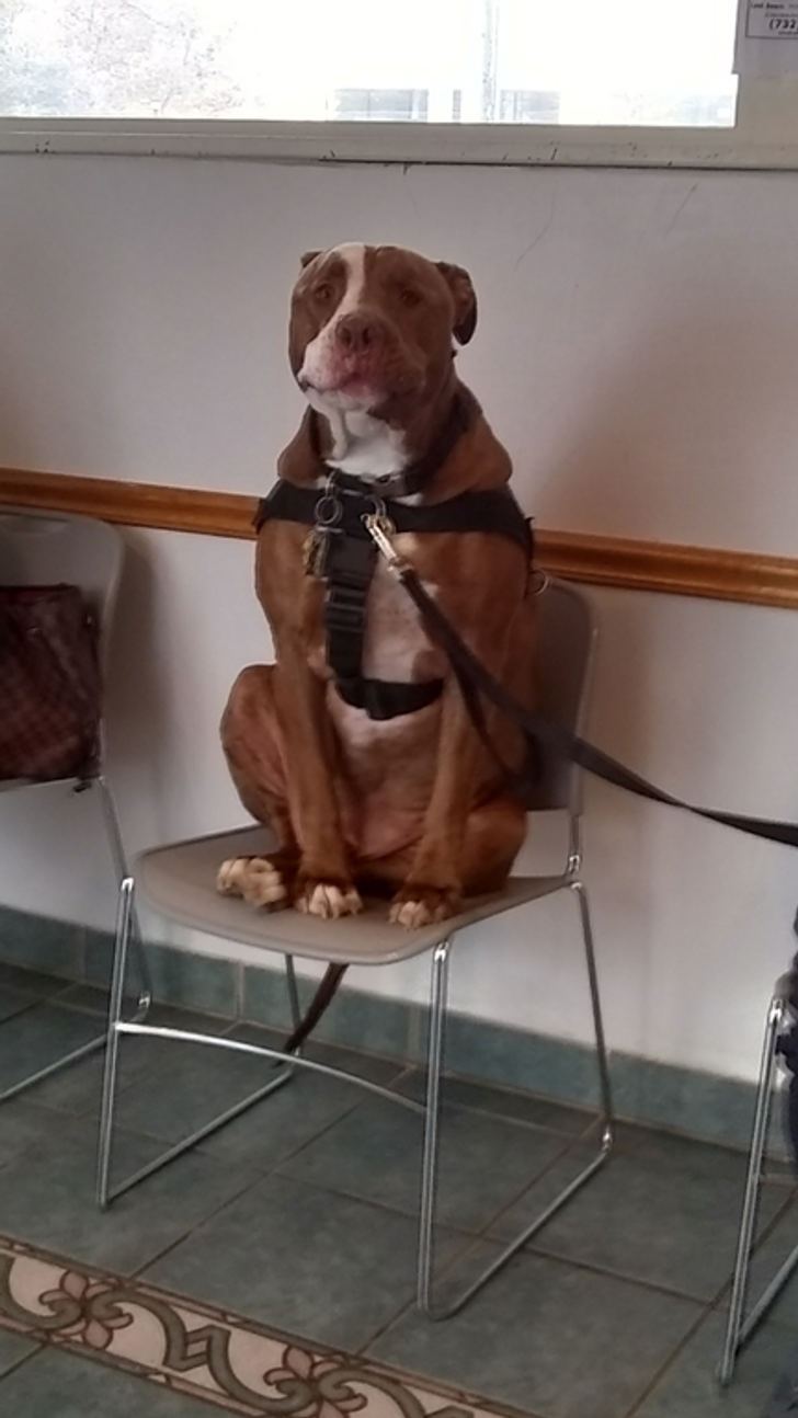 74e143577f9abcefd2d408a1ec