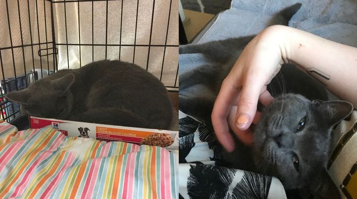 74e9f05df698ee0ee7f9bb36bd