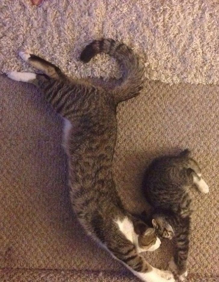 74ed7453068a3ebb3f85d49b0b