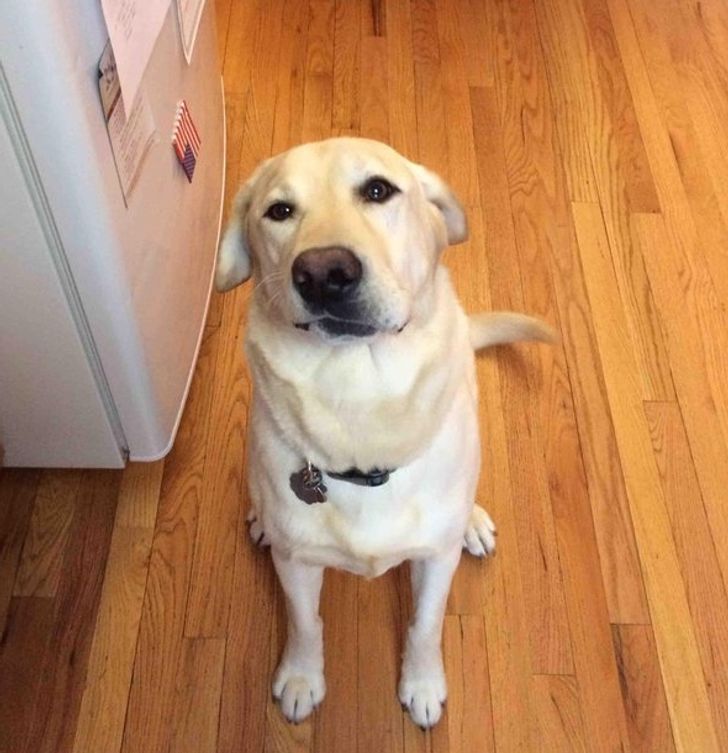 74f2e8595db36fe709fe90002b