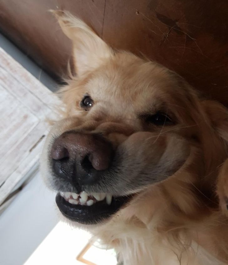 74f85056d0b6f6bd28bfd3a805