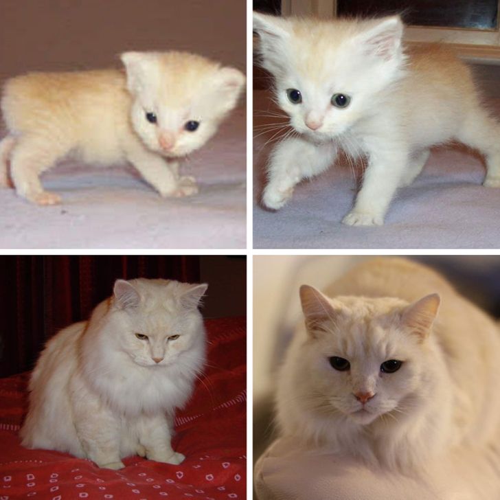 74fbaf509d83d0fa93fa22fe21