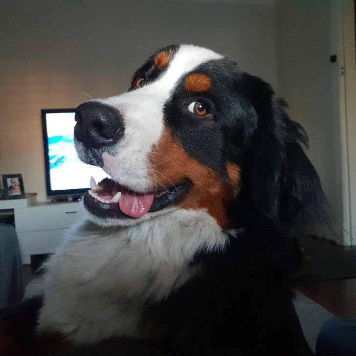 75009f5e83a86e69a007375437