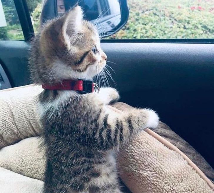 75011e5e1794a5e55f557ebdb7