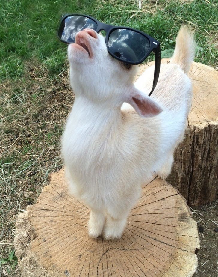 7508a257148c0d676cf3375cc0