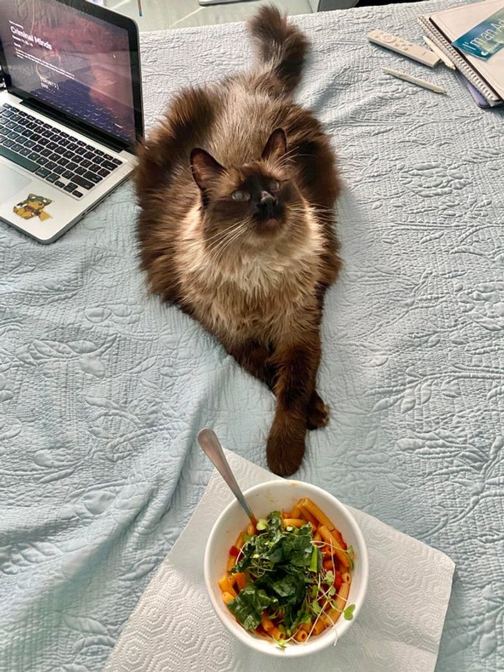 750a405b7887e0d2c7f83be622