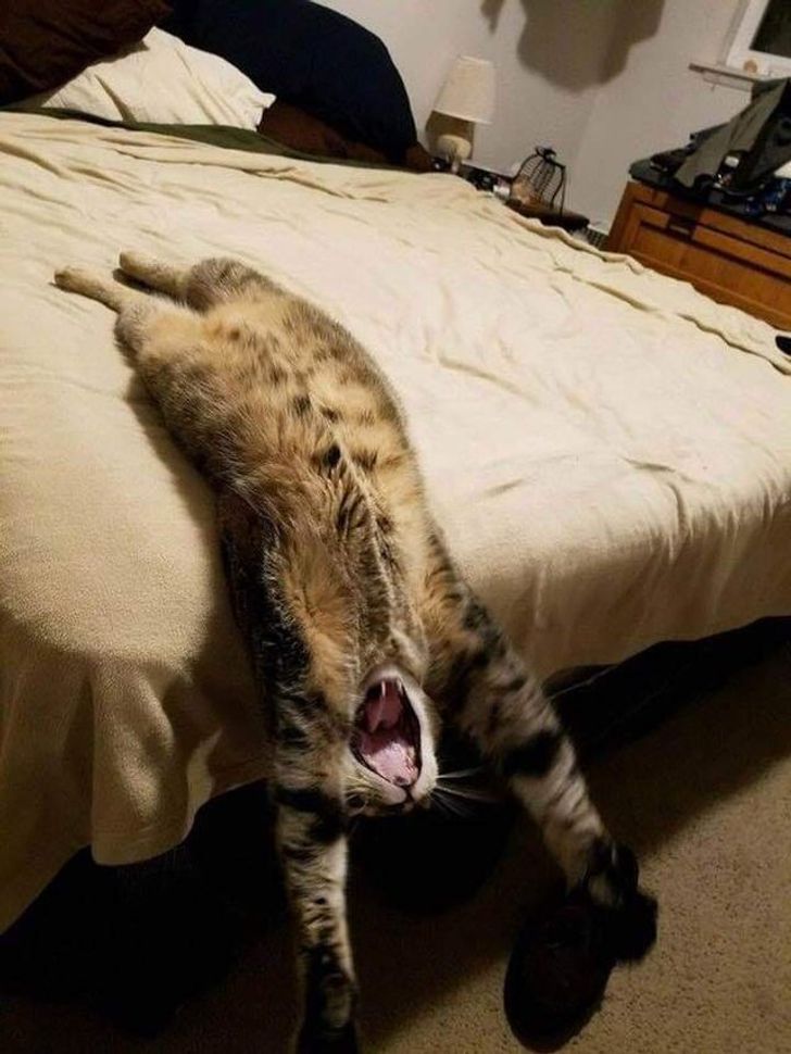 750ee250babc0d8a12c552accb