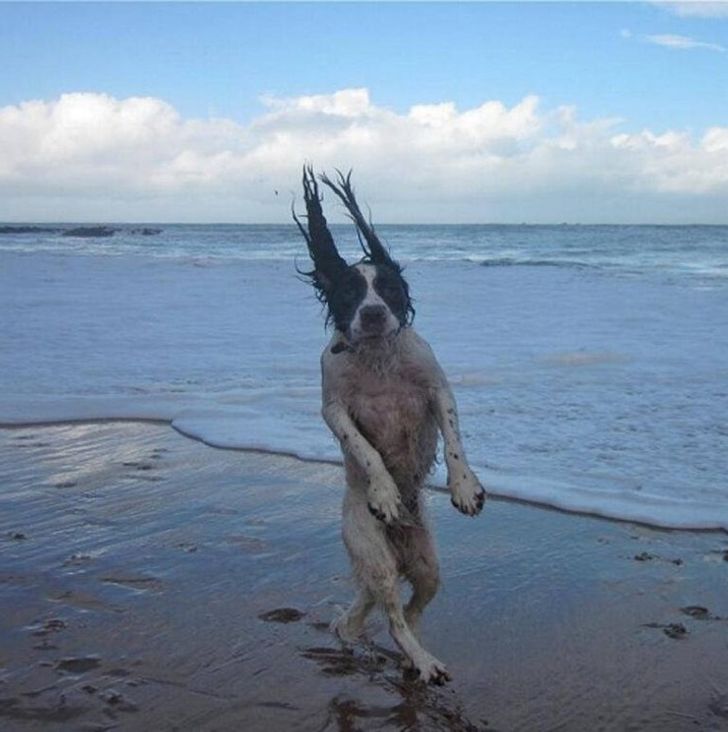 751c6350538c1f40379d9ccc69