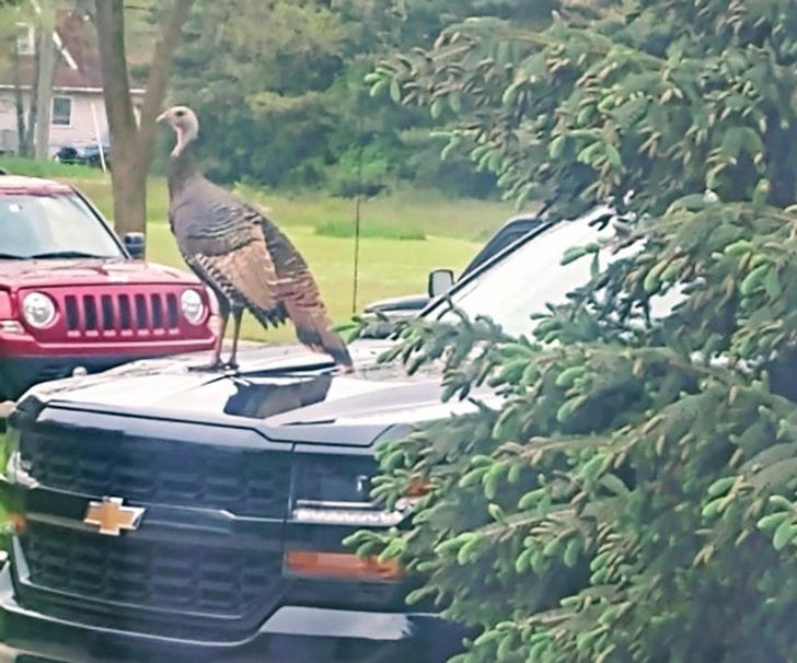 751d895172b94db77c89959af5 751d895172b94db77c89959af5