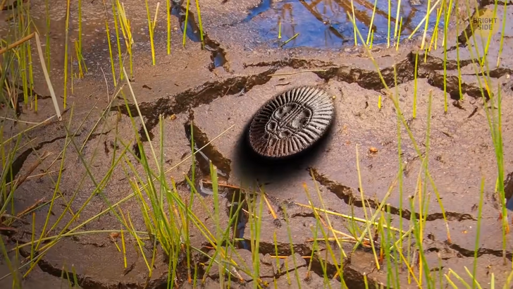 751df656d2b4f085055c1ce85f