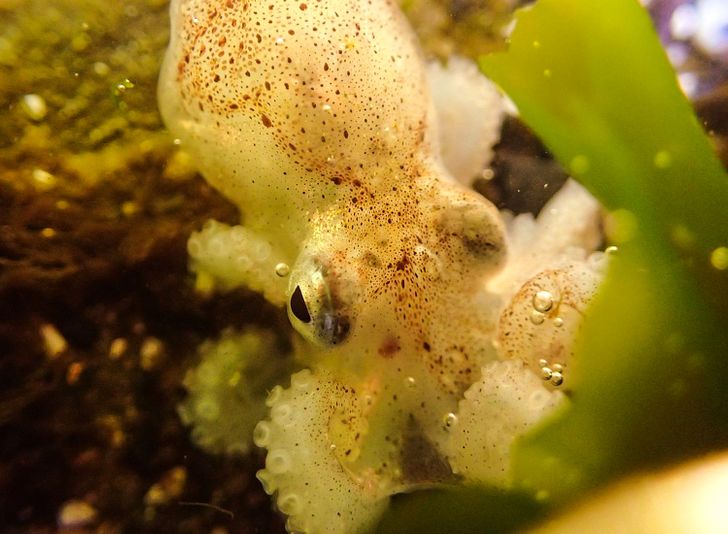 7522115a3da171f457ddaf1d8c