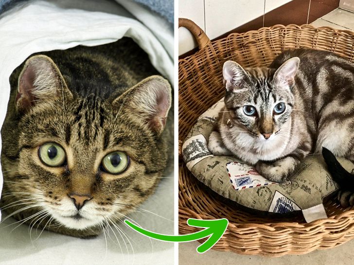 752315588ea3df3866569935cf