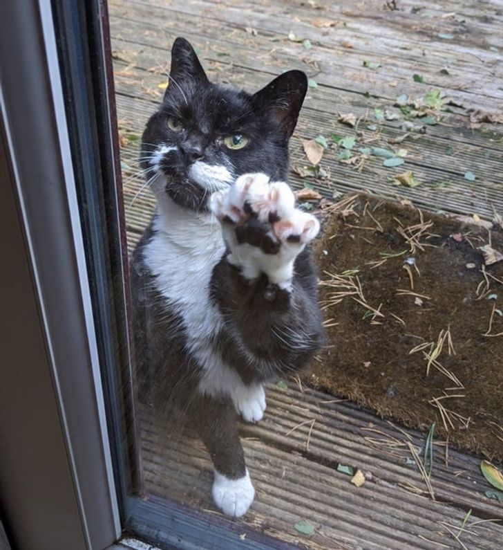 75233f5fcb8cc77f1b59114742