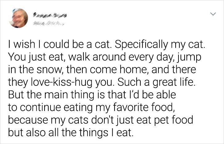 7523c6511cadc687759a8c9cc4