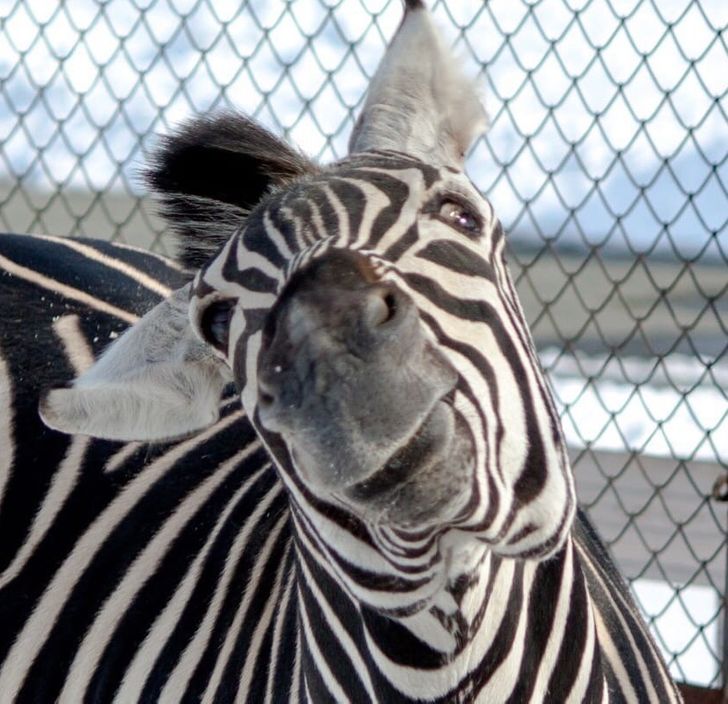 752aac5933903b33409c6c32b8