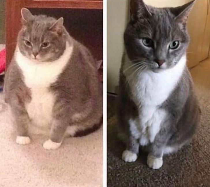 7532cd504cb57d82abacf5ecd8