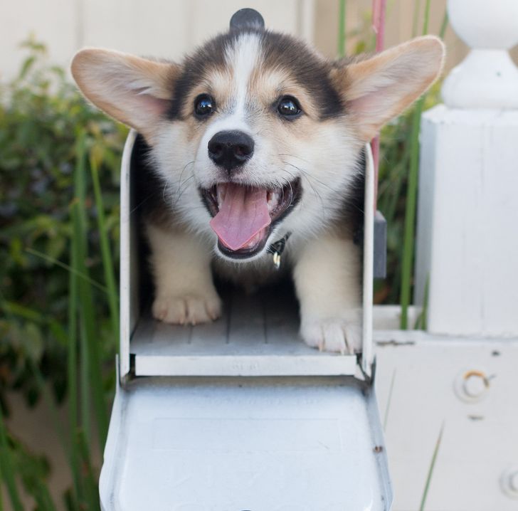 7538c75b5dbb4f4686eb67bfec