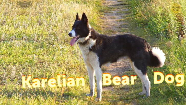 753daf55749b3264fa7c120f04