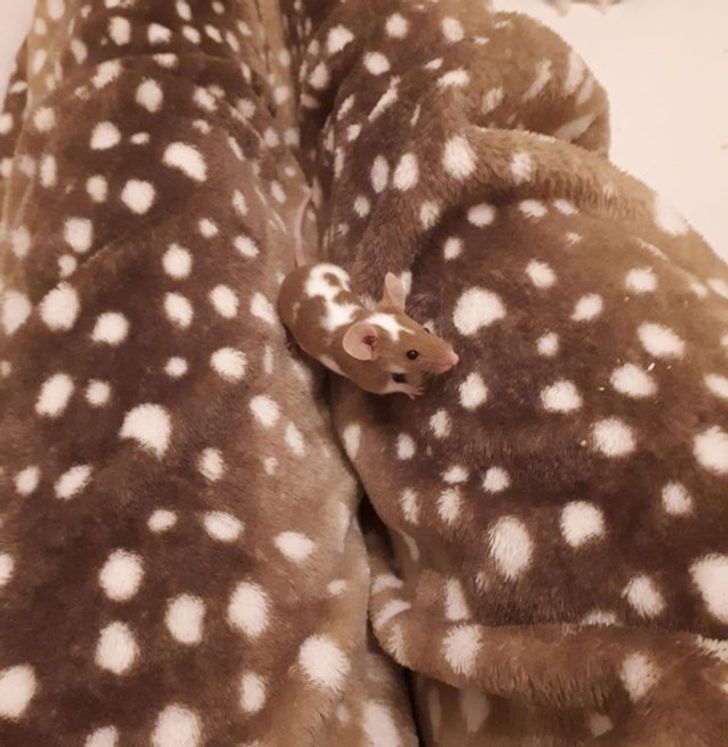 7548af5713accfb8d553110f1b