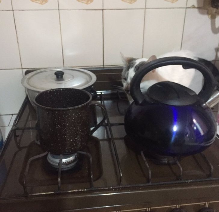 7549a659dd87e8f1d6b98504fc