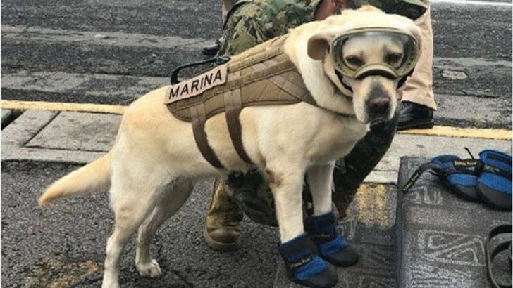 754b57580a9bb828aecfaf6027