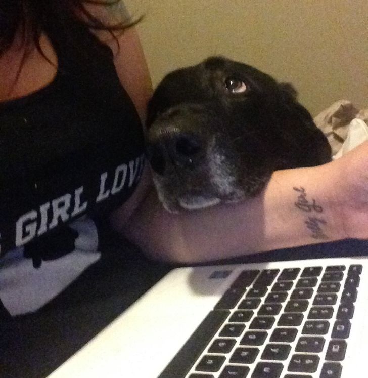 7550be519d8ec7b749f97dfeba