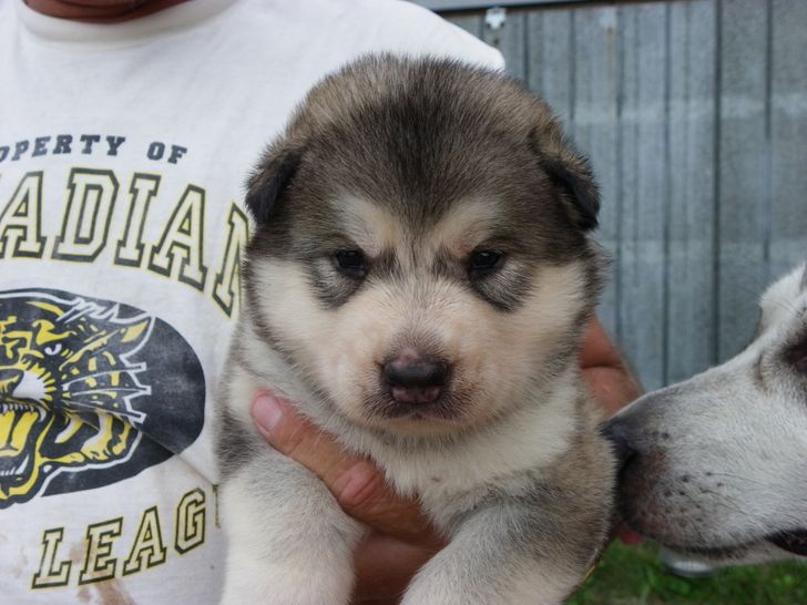 75578756e4a983648b8646946c