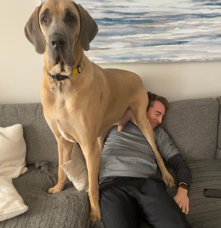 7559455b3ba500ce6f5afb405c