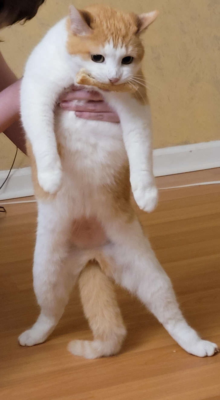 755bfb5812b847ace5b9cc5930