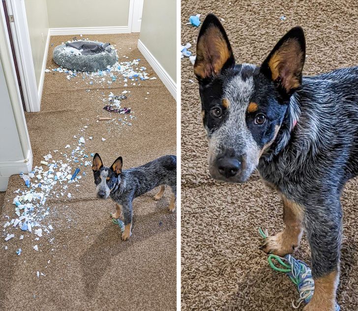 755f8d524ebaa5f08f1a71a8e7