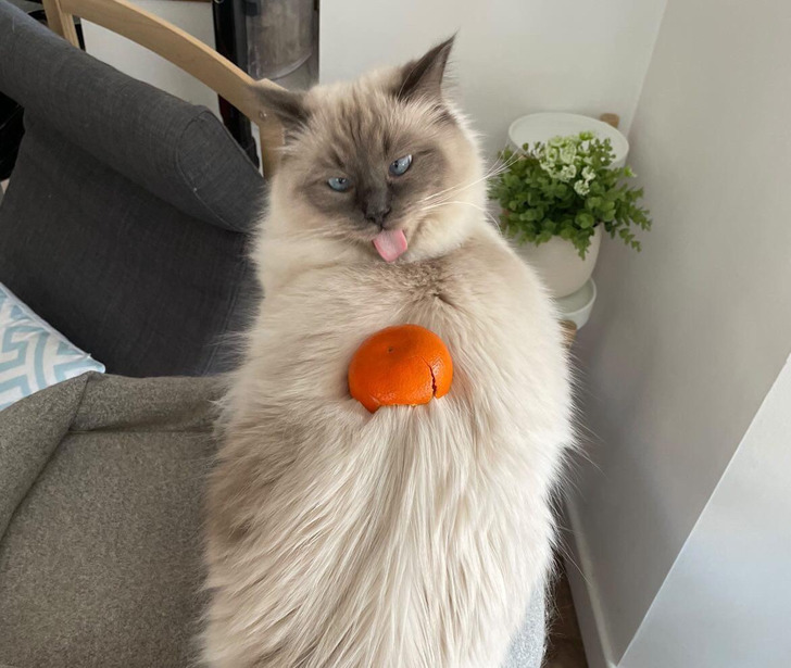 756d79570c8b307acabe71a6bc