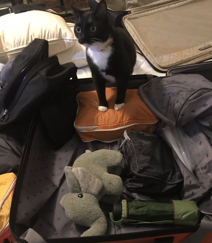 756f6b56f9a2b4c6cf61309007