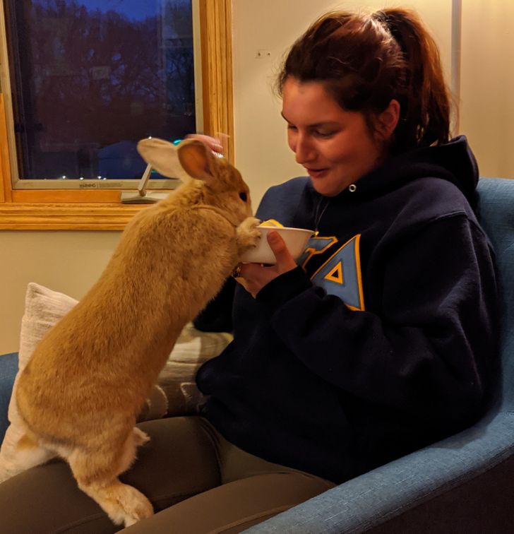 7571685ecca5829d627c8e9310