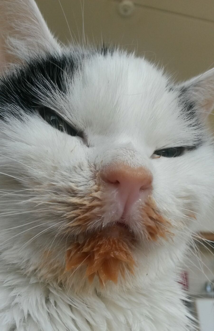 75794353b99fdfb0607a54a919