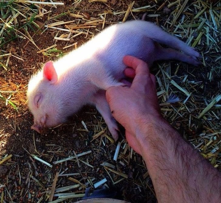 7579b85929ae1381eb8f8d6da4