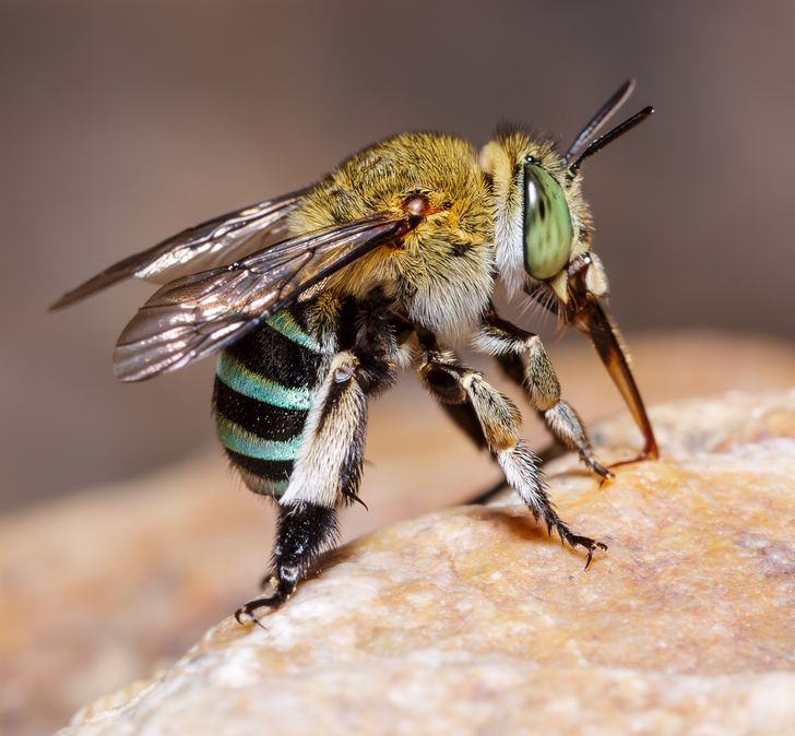 757dac5b2daafbe4700d586490