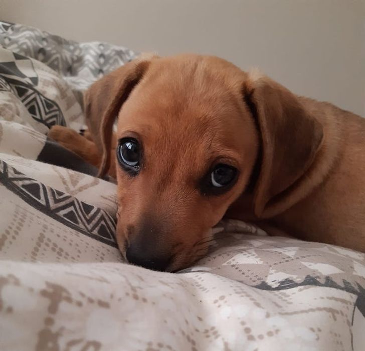 7583c7543fa49135950f1b60c4