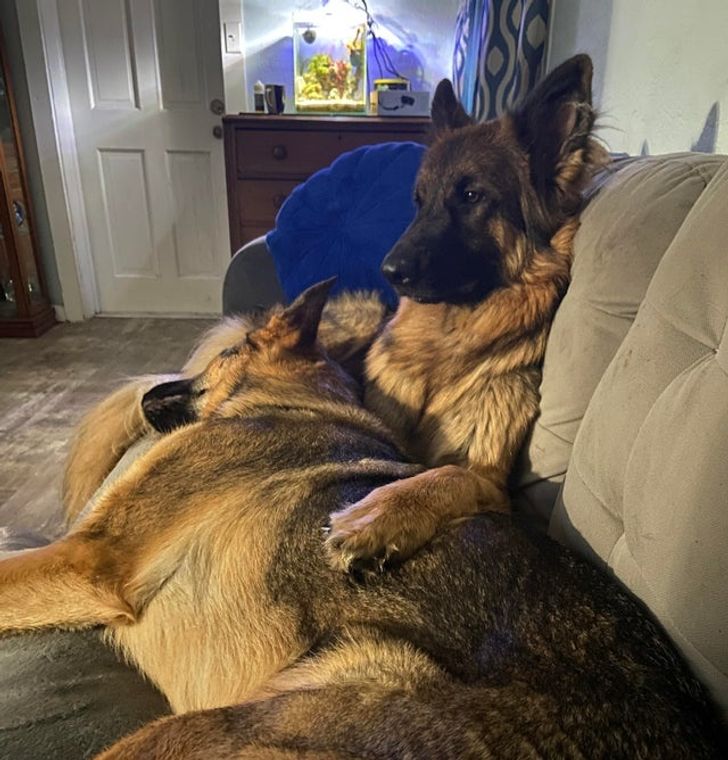 7584e658149657fe0bb66593a6