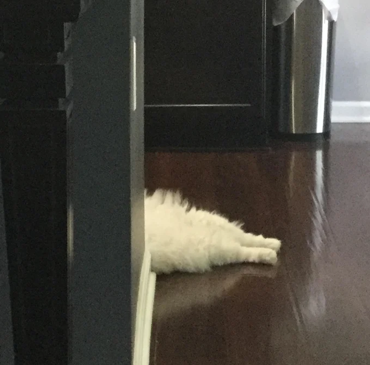 758910517dbeade9cd2f3493a4