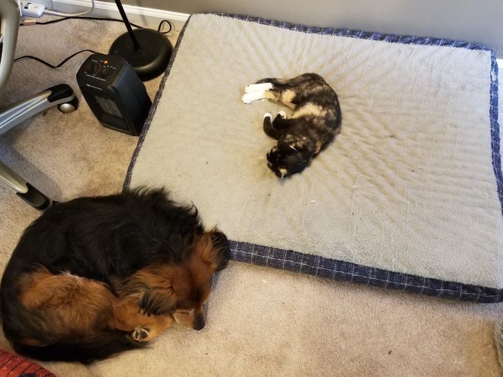 758cf35341a105caaa64f43ee3