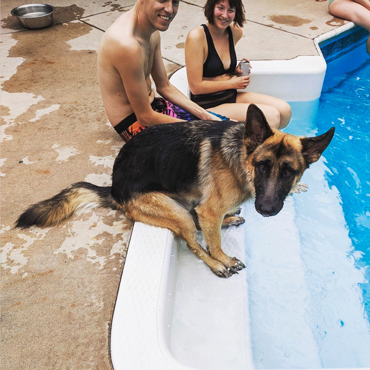 75a0025dee97e0ce4b126bc836