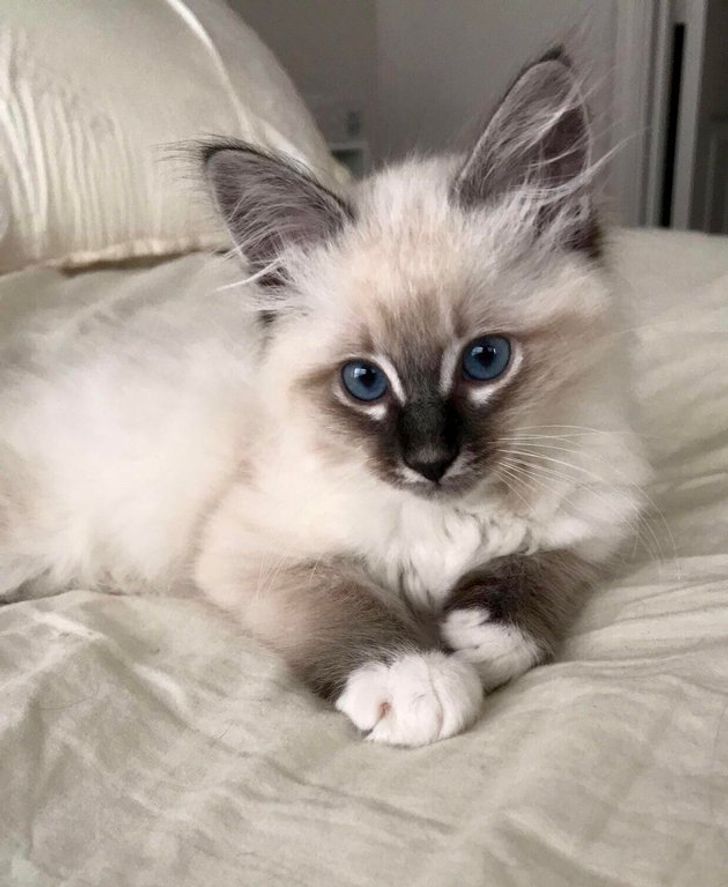 75af2152e78843e73f442ae1f0