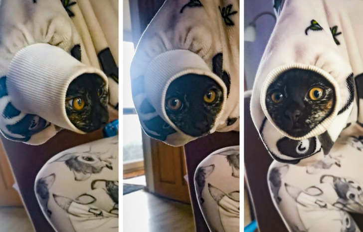 75b0b75cefaaed9cc6ecbcf855 75b0b75cefaaed9cc6ecbcf855