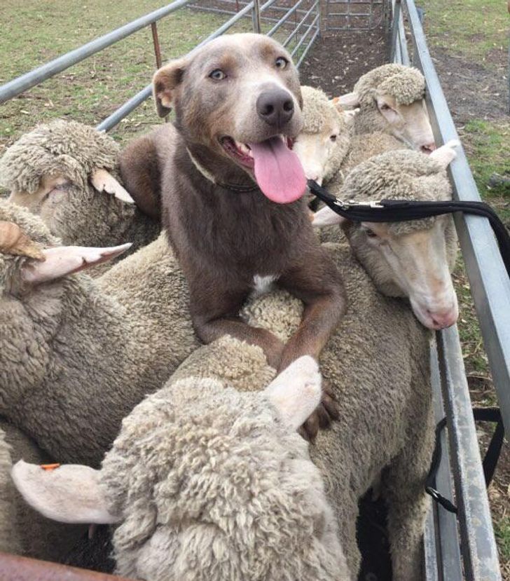 75b54e5f799fec8e6fe822b297