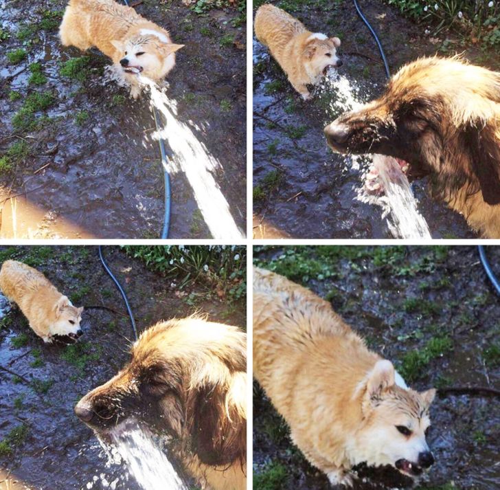 75c9bc5141890b283f28424486