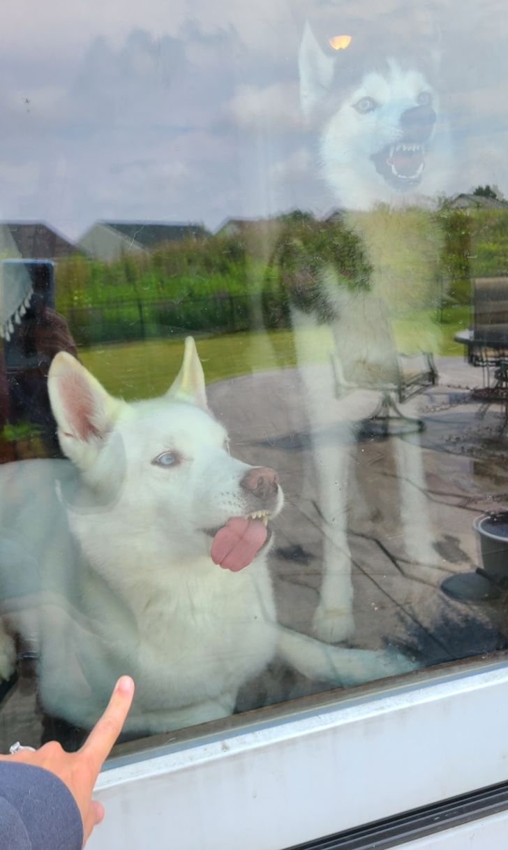 75caac527f8cc25ddfd0bbd87e 75caac527f8cc25ddfd0bbd87e