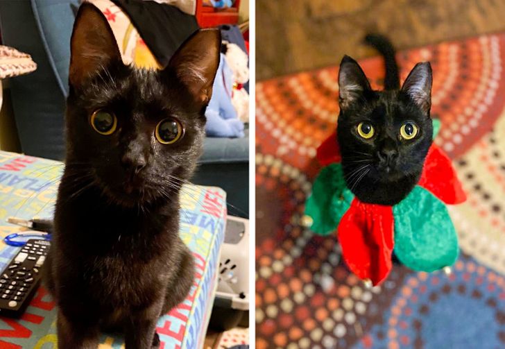 75ccbc5a869ae0eb026411ad00