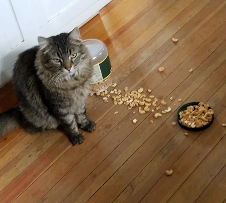 75cf445f49b9a8e8f28d9b740f