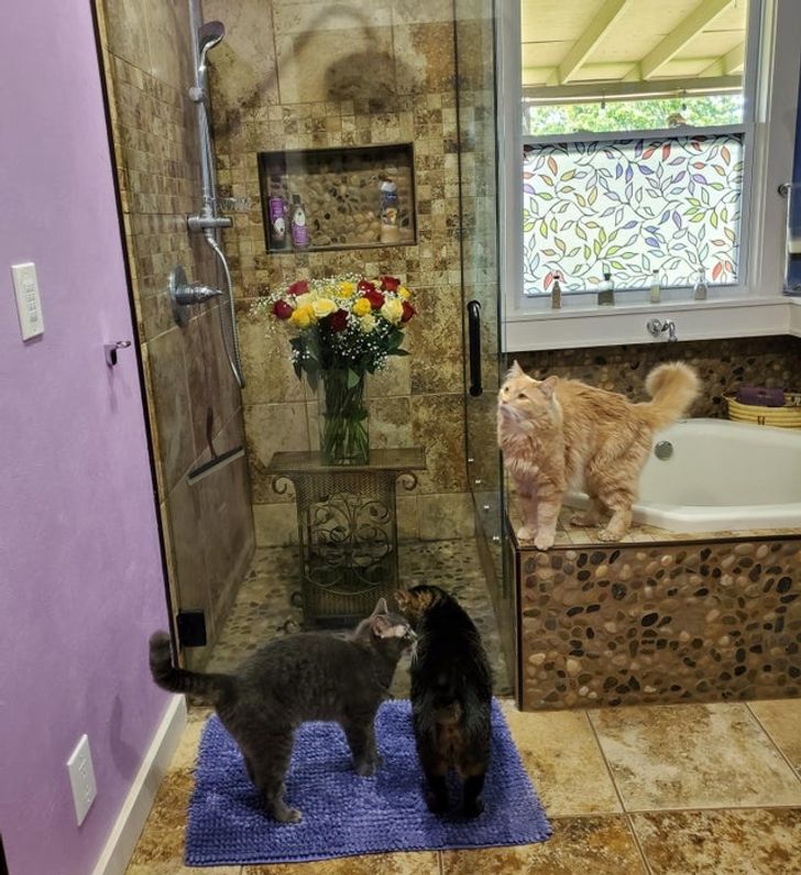 75d39254b6bafdd06bc0a7178e